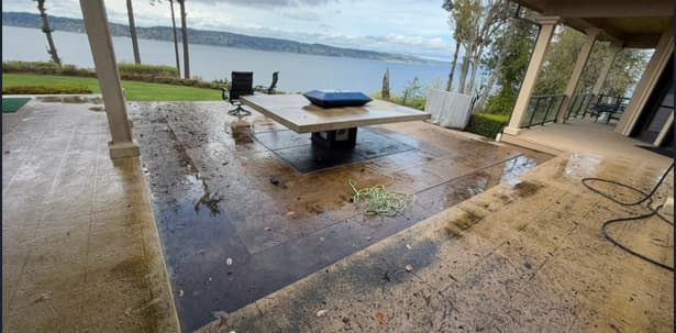 Before professional cleaning