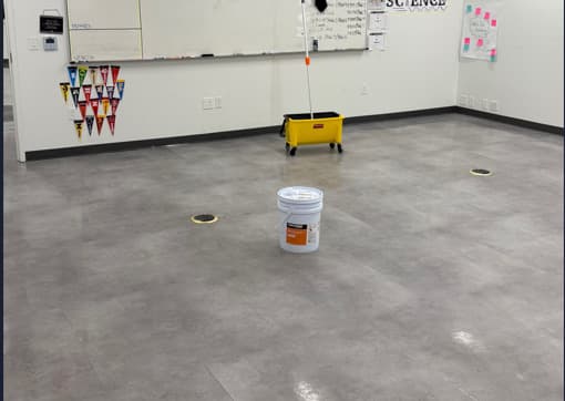 Before professional cleaning