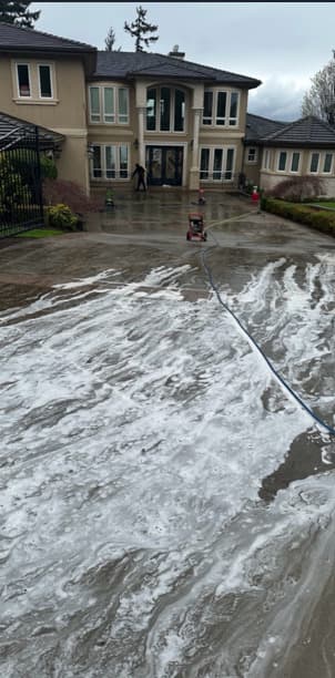 Before professional cleaning