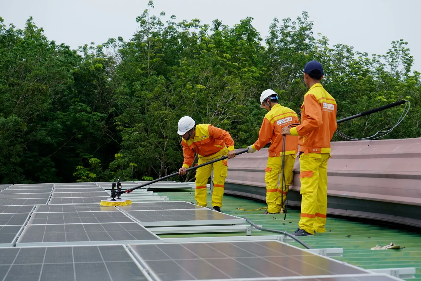 Technicians using extension poles with brush heads to clean a row of rooftop solar panels